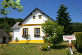 Ferienhaus Kranz Gerersdorf Bei Güssing